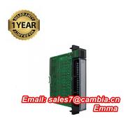 IC200ERM002C GE Fanuc